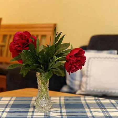 Appartement Wofahanslhof